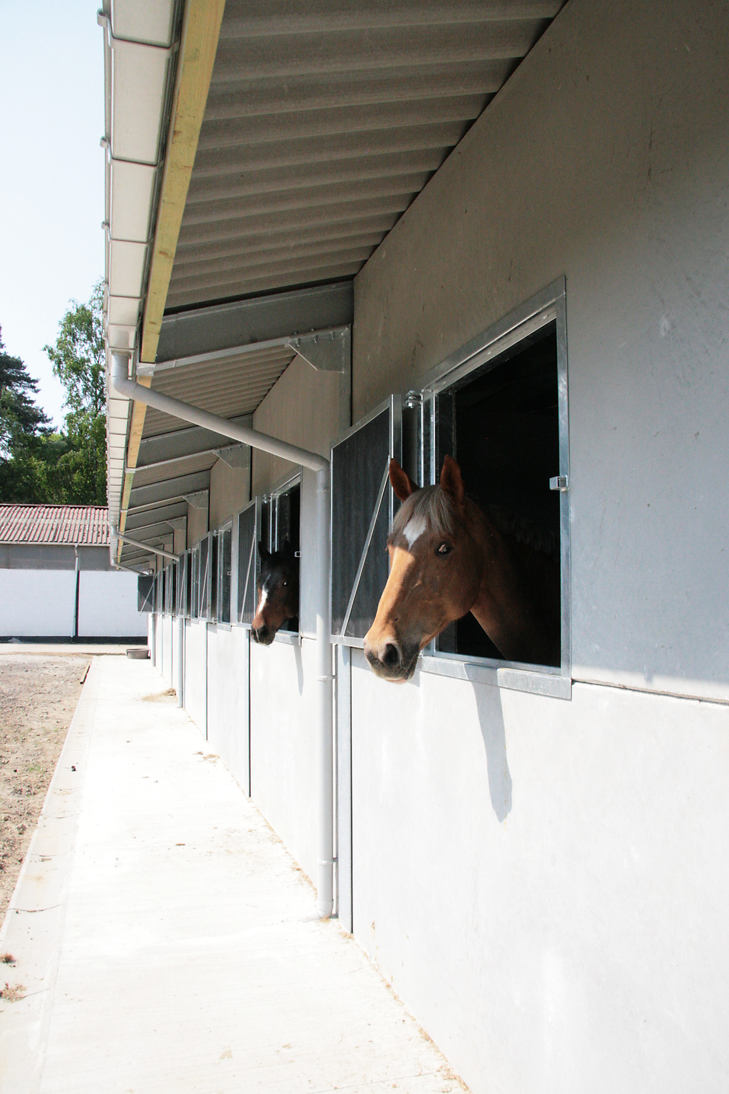 STAL DEN DOORNLAAR Rijmenam