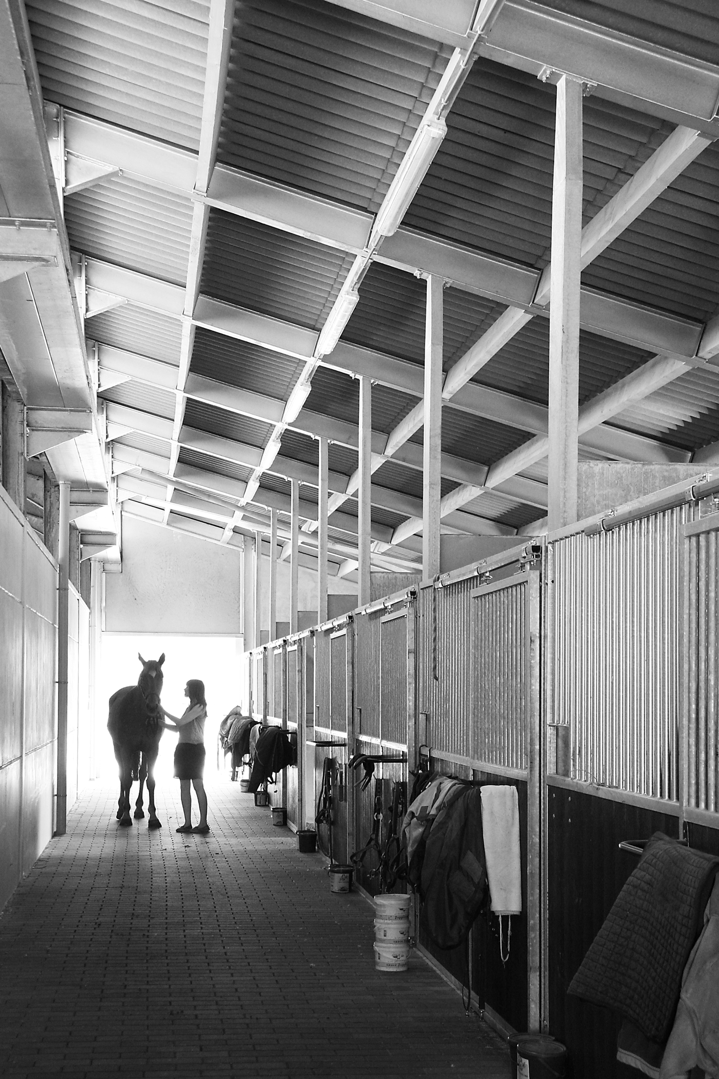 STAL DEN DOORNLAAR Rijmenam